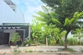 Chính Chủ Bán Lô Đất Thanh Lương 31 - Gần Trục Đường Mai Chí Thọ Hòa Xuân . 