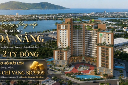 CĂN HỘ ECOLIFE SIGNATURE | 2 PHÒNG NGỦ GIÁ 2 TỶ 4